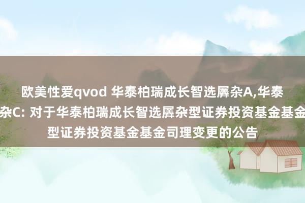 欧美性爱qvod 华泰柏瑞成长智选羼杂A,华泰柏瑞成长智选羼杂C: 对于华泰柏瑞成长智选羼杂型证券投资基金基金司理变更的公告