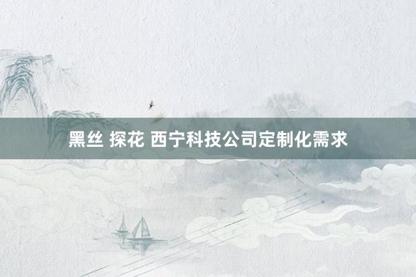 黑丝 探花 西宁科技公司定制化需求
