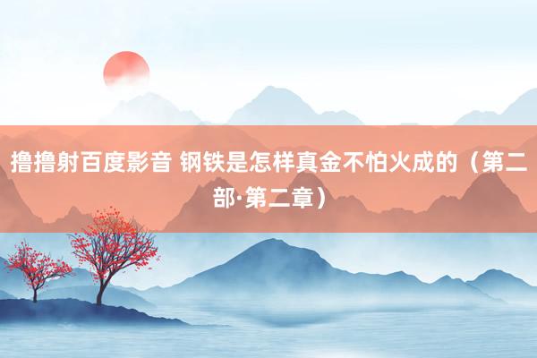 撸撸射百度影音 钢铁是怎样真金不怕火成的（第二部·第二章）