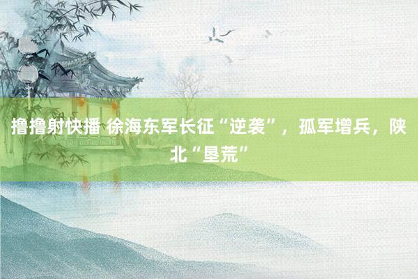 撸撸射快播 徐海东军长征“逆袭”，孤军增兵，陕北“垦荒”