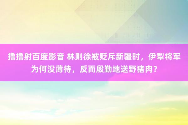 撸撸射百度影音 林则徐被贬斥新疆时，伊犁将军为何没薄待，反而殷勤地送野猪肉？