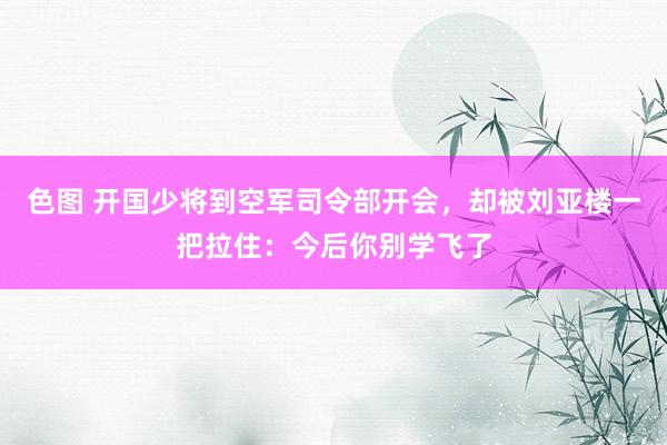色图 开国少将到空军司令部开会，却被刘亚楼一把拉住：今后你别学飞了