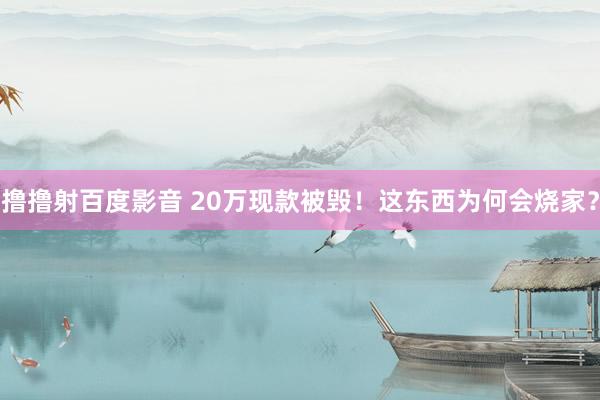 撸撸射百度影音 20万现款被毁！这东西为何会烧家？