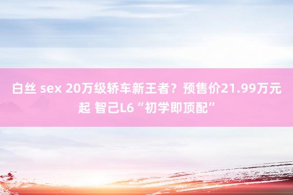 白丝 sex 20万级轿车新王者？预售价21.99万元起 智己L6“初学即顶配”