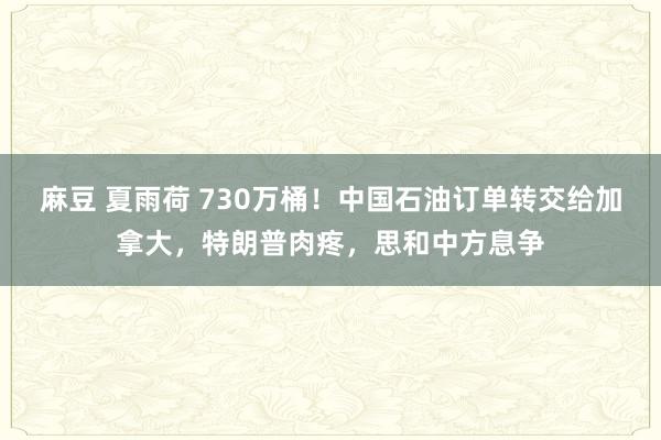麻豆 夏雨荷 730万桶！中国石油订单转交给加拿大，特朗普肉疼，思和中方息争