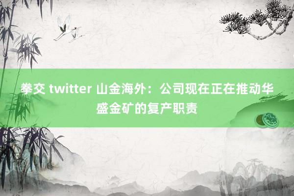 拳交 twitter 山金海外：公司现在正在推动华盛金矿的复产职责