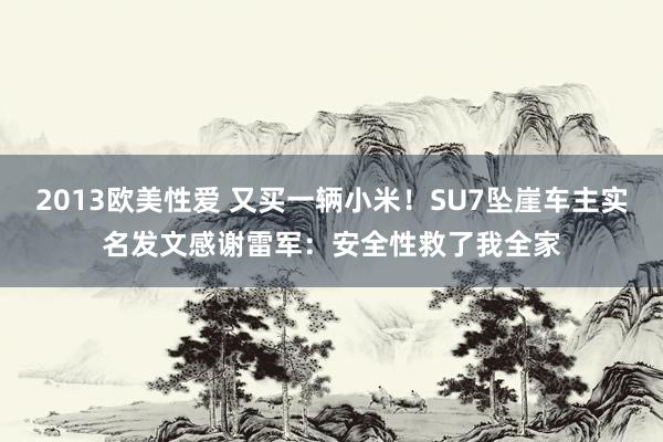 2013欧美性爱 又买一辆小米！SU7坠崖车主实名发文感谢雷军：安全性救了我全家