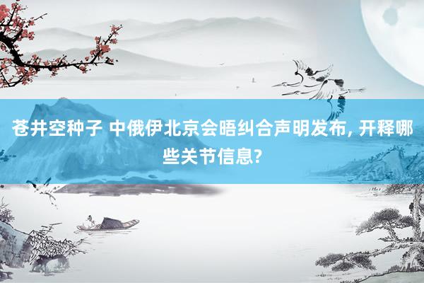 苍井空种子 中俄伊北京会晤纠合声明发布, 开释哪些关节信息?