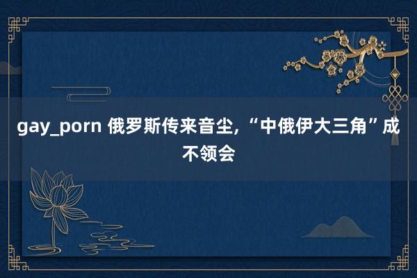 gay_porn 俄罗斯传来音尘, “中俄伊大三角”成不领会