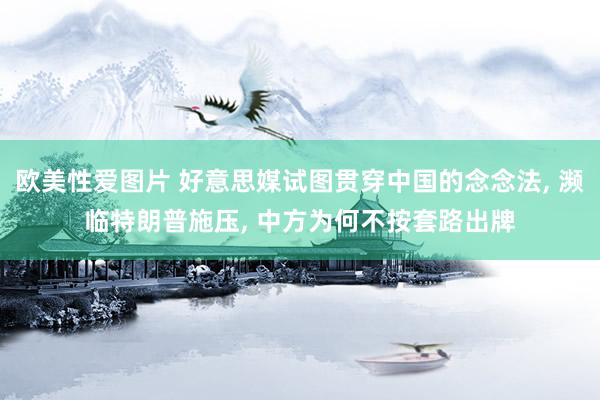 欧美性爱图片 好意思媒试图贯穿中国的念念法, 濒临特朗普施压, 中方为何不按套路出牌