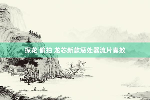 探花 偷拍 龙芯新款惩处器流片奏效