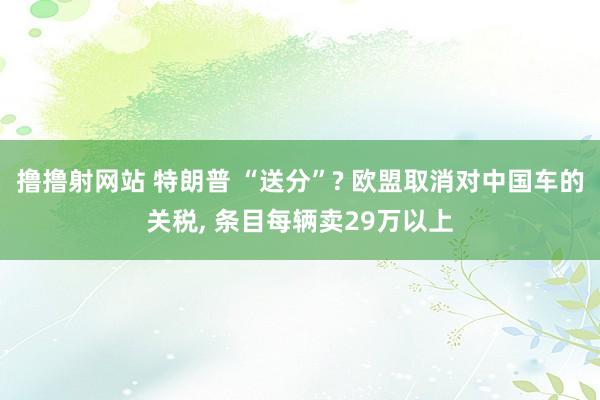 撸撸射网站 特朗普 “送分”? 欧盟取消对中国车的关税, 条目每辆卖29万以上