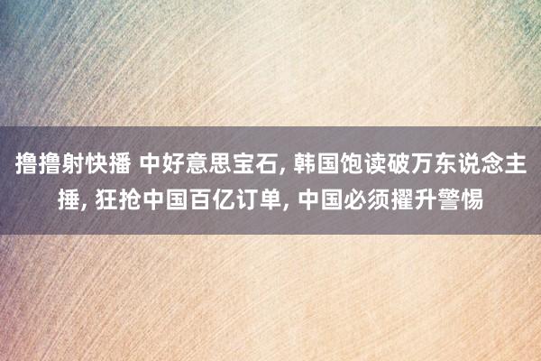 撸撸射快播 中好意思宝石, 韩国饱读破万东说念主捶, 狂抢中国百亿订单, 中国必须擢升警惕