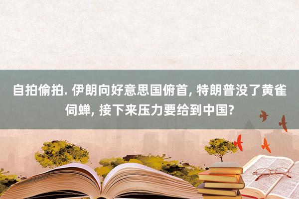 自拍偷拍. 伊朗向好意思国俯首, 特朗普没了黄雀伺蝉, 接下来压力要给到中国?