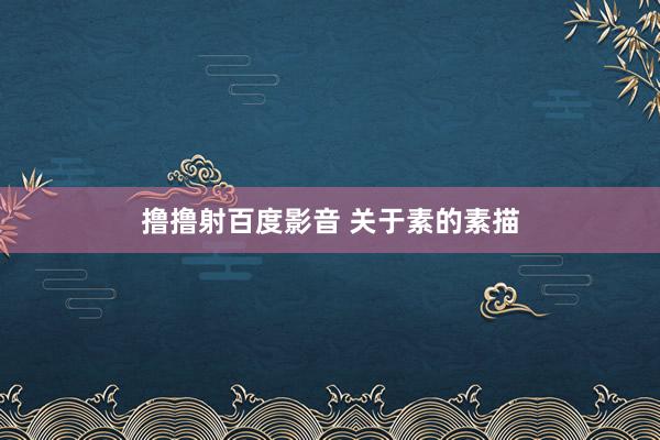 撸撸射百度影音 关于素的素描
