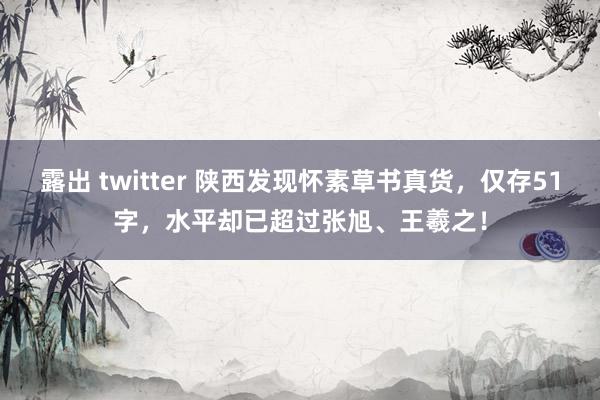 露出 twitter 陕西发现怀素草书真货，仅存51字，水平却已超过张旭、王羲之！