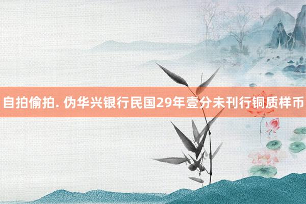 自拍偷拍. 伪华兴银行民国29年壹分未刊行铜质样币