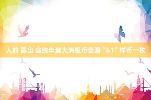 人前 露出 宣统年造大清银币壹圆“$1”样币一枚