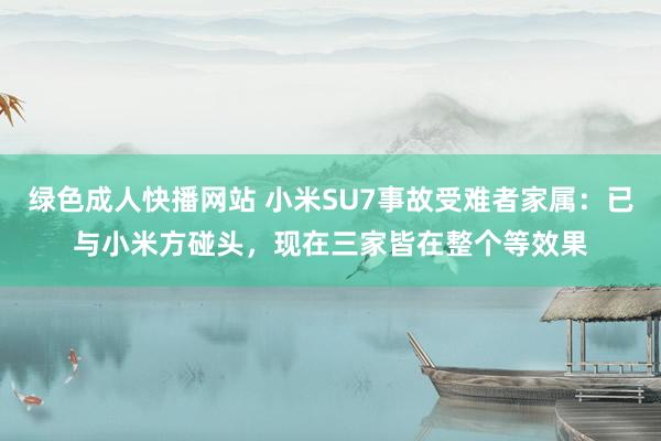 绿色成人快播网站 小米SU7事故受难者家属：已与小米方碰头，现在三家皆在整个等效果